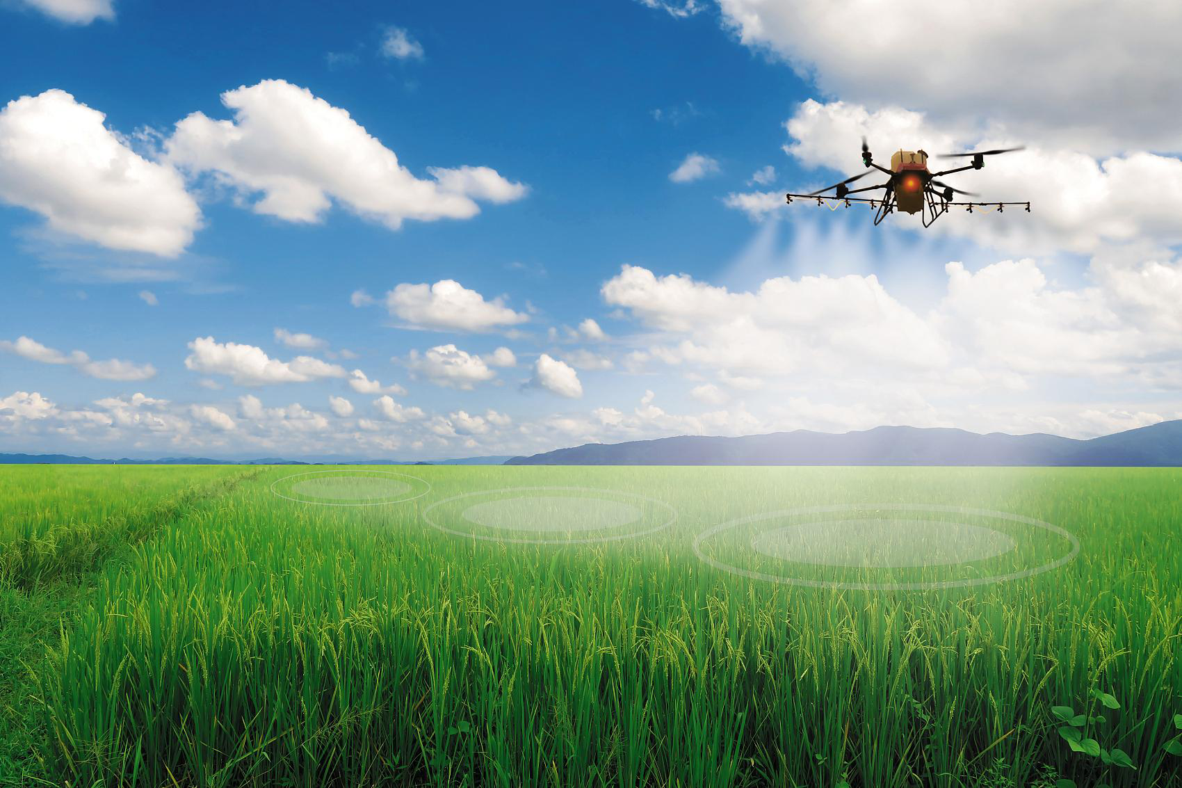 JT50 UAS